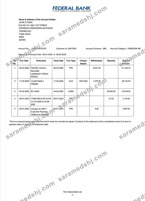 India Federal Bank statement of account Word and PDF template, version 2